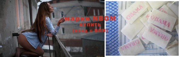 прущие грибы Лихославль