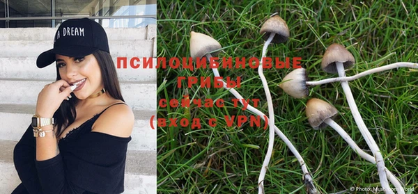 ешки Майский