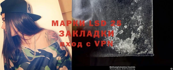 прущие грибы Лихославль