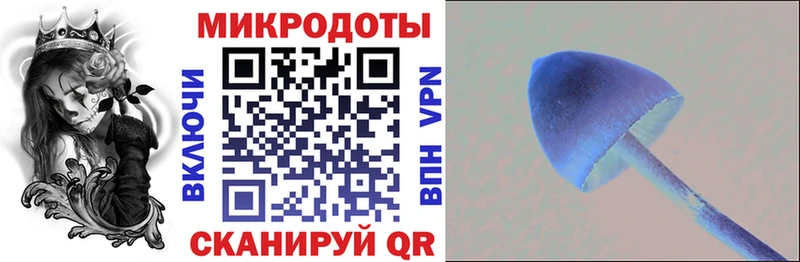 Купить закладки  Кыштым  Псилоцибиновые грибы Magic Shrooms 