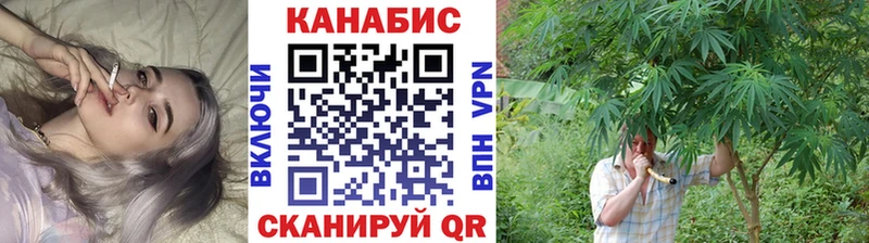 Шишки марихуана ГИДРОПОН  Купить закладки  Кыштым 